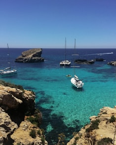 white and blue boat on sea during daytime