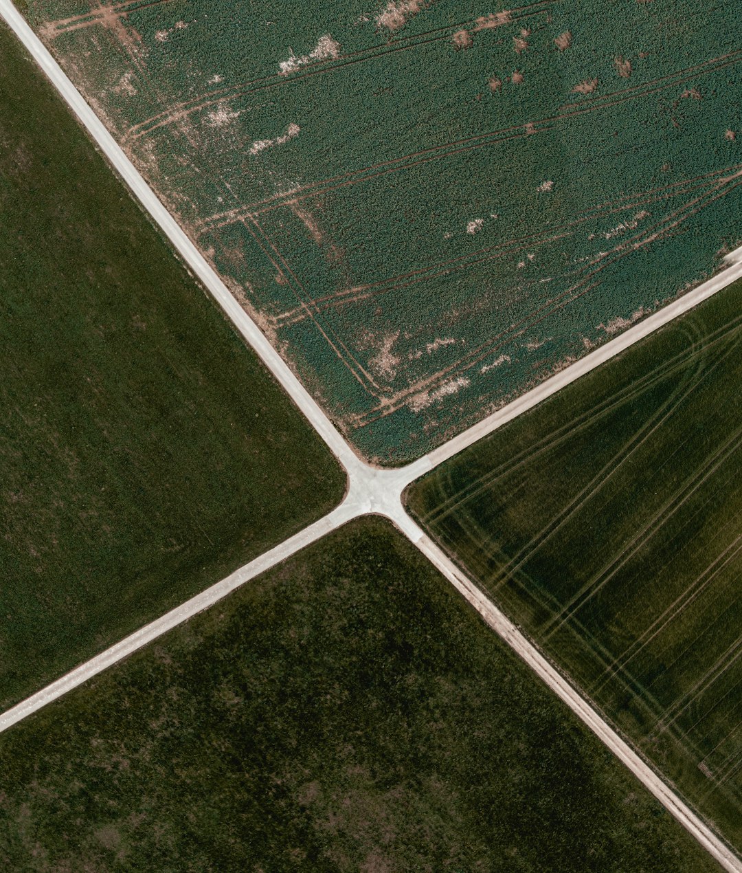 aerial view of green field