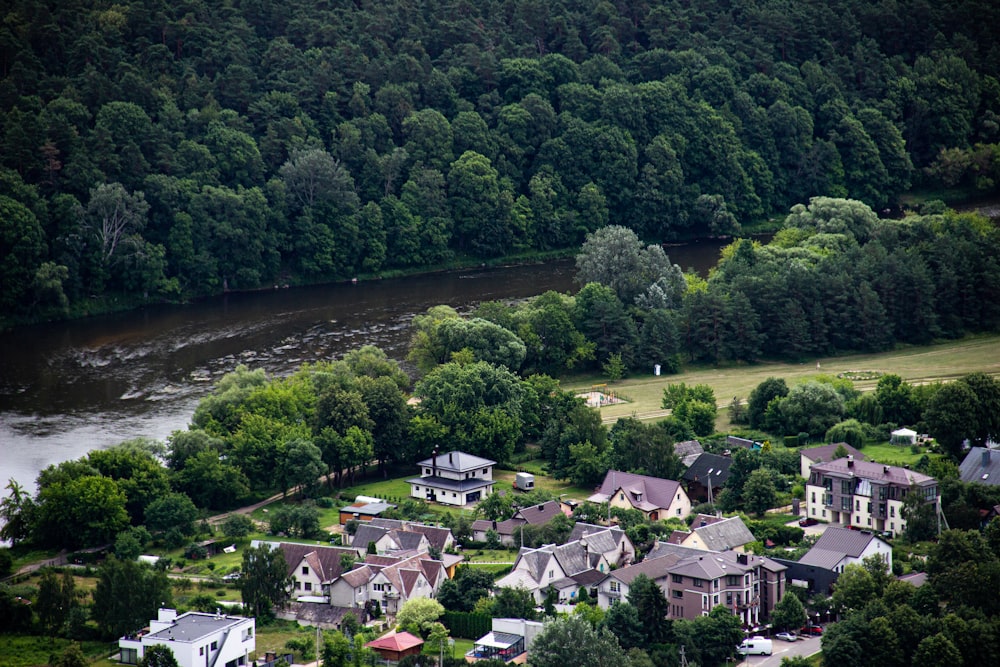 houses near river and trees during daytime