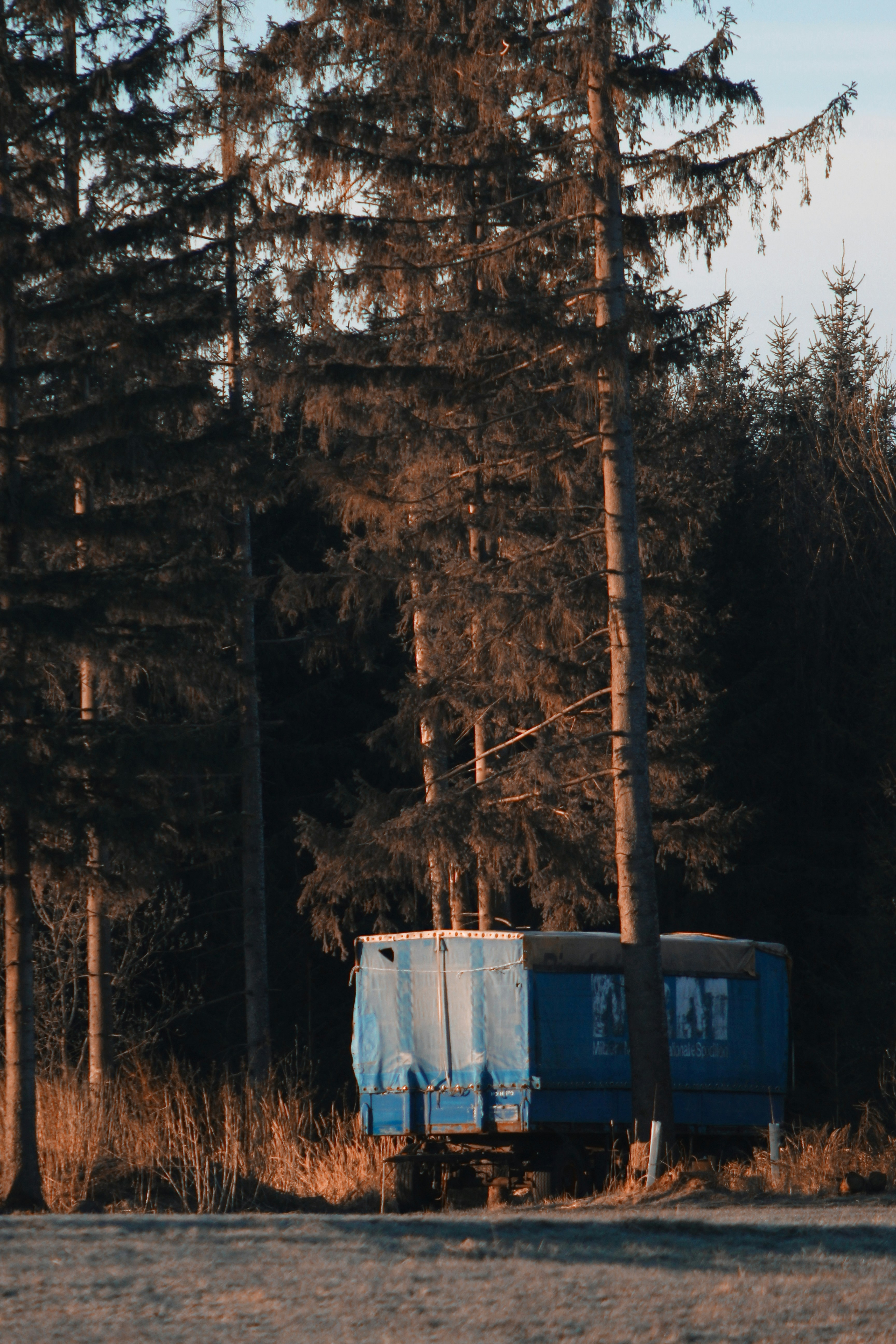 Bus biru dan putih di hutan
