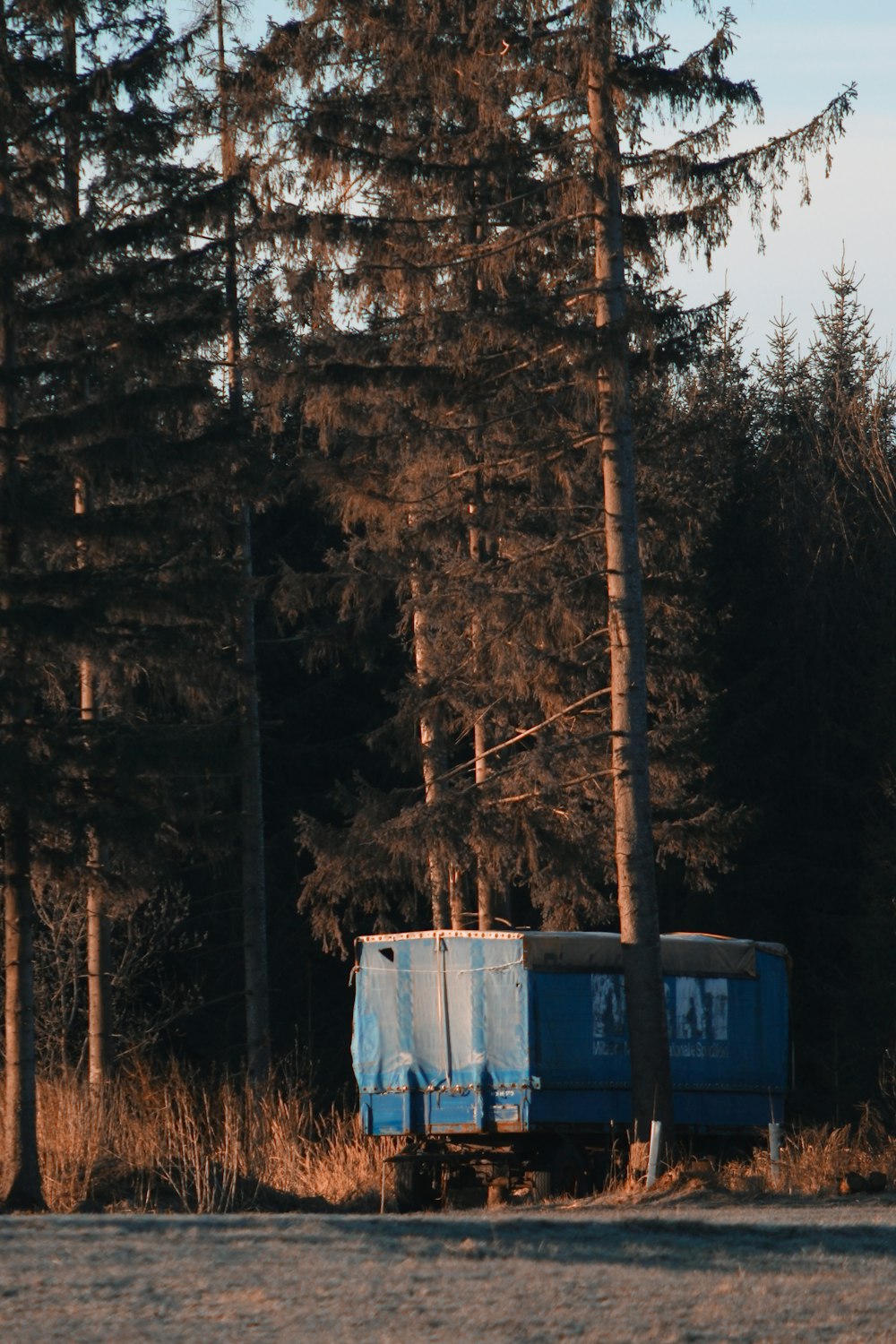 blue and white bus in the woods