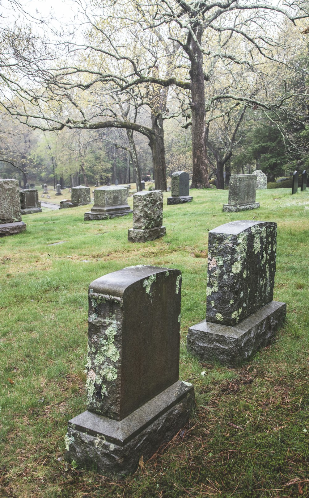 gray concrete tomb on green grass field