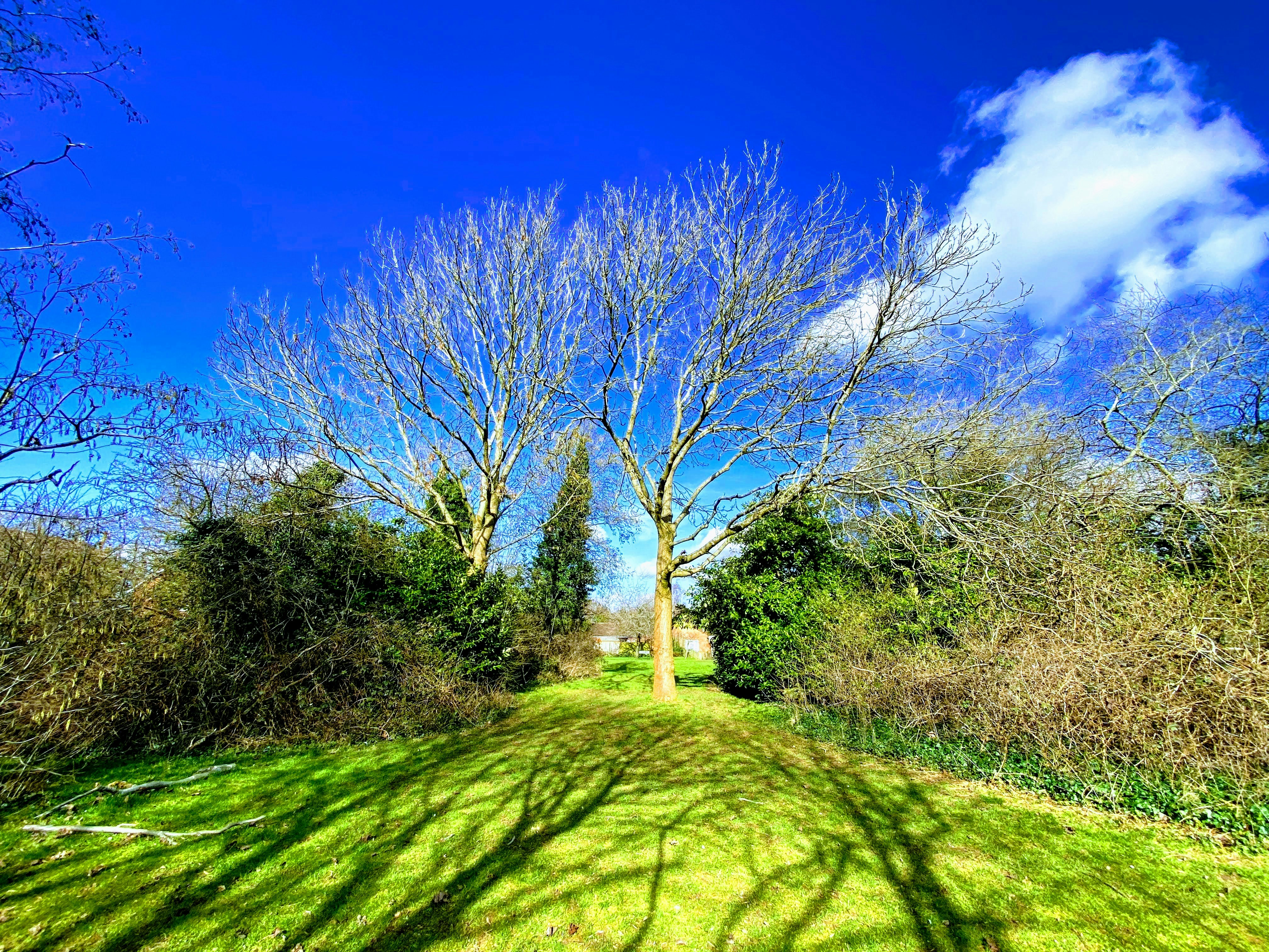 Photo by david_robert_clarke