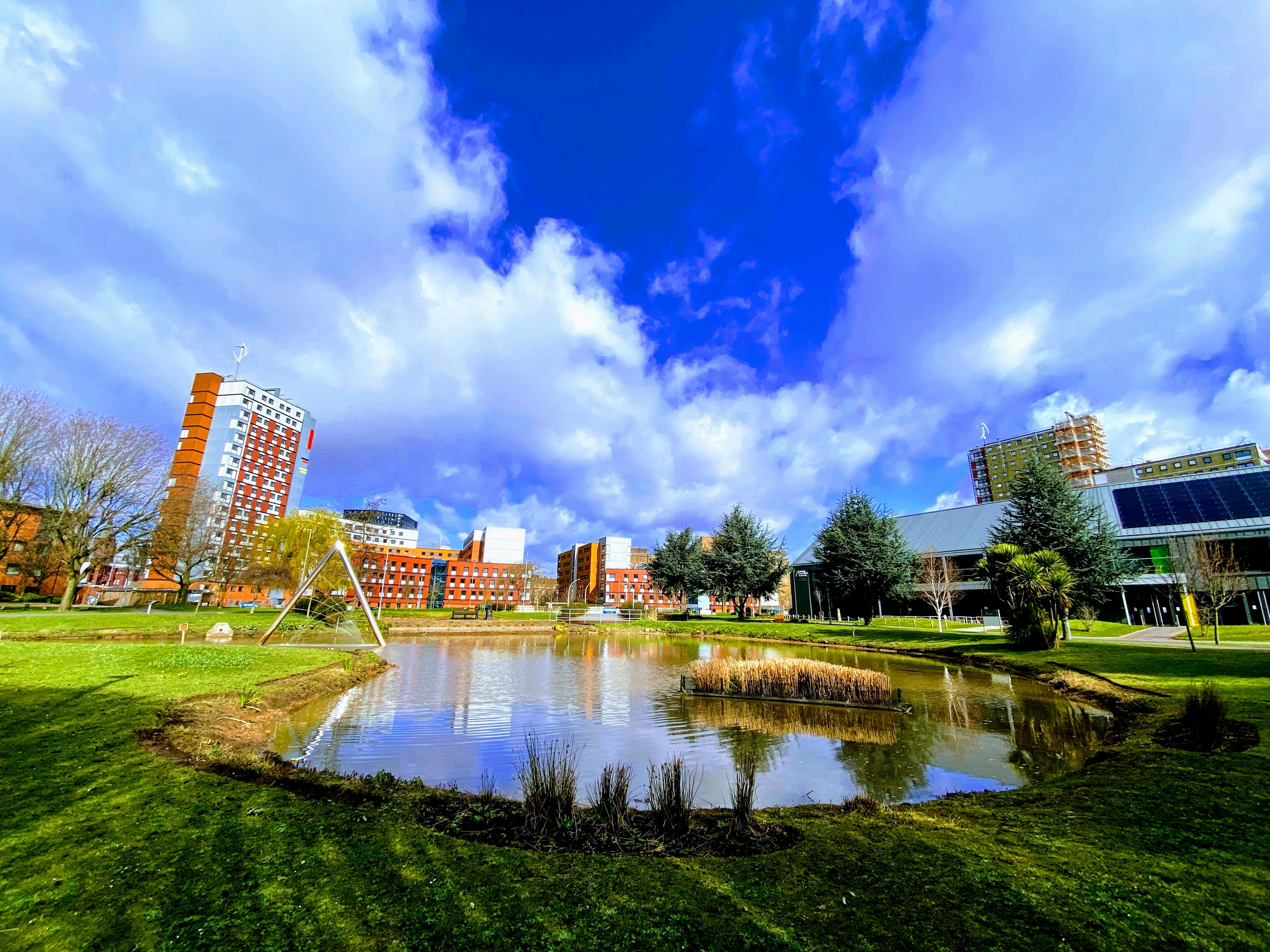 green grass field near body of water under blue sky during daytime