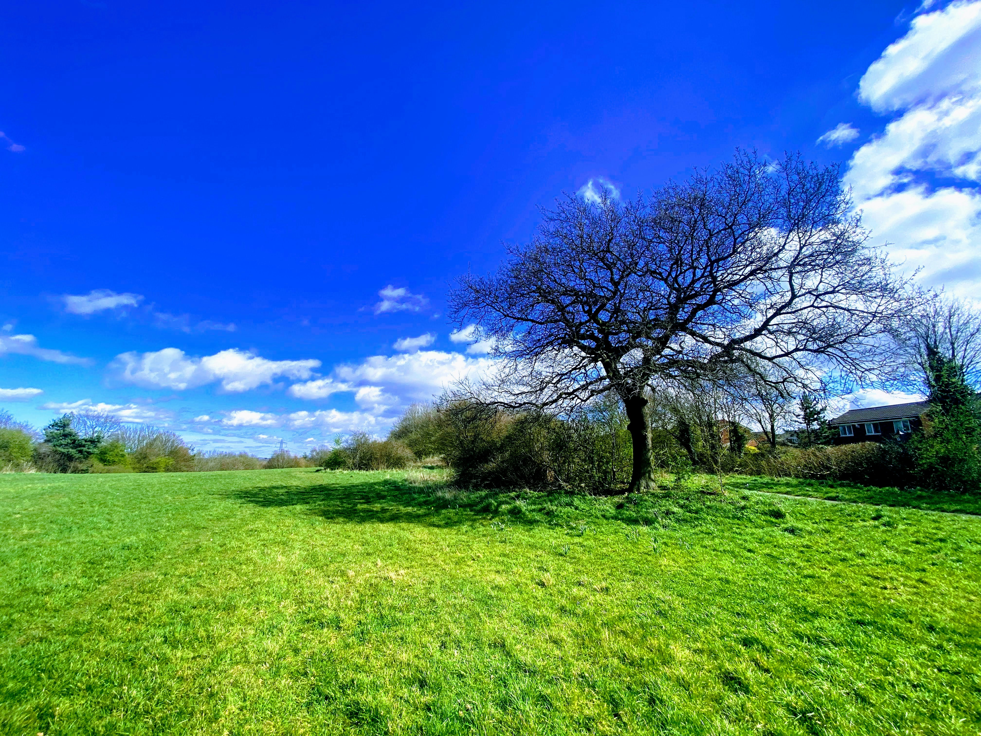 Photo by david_robert_clarke