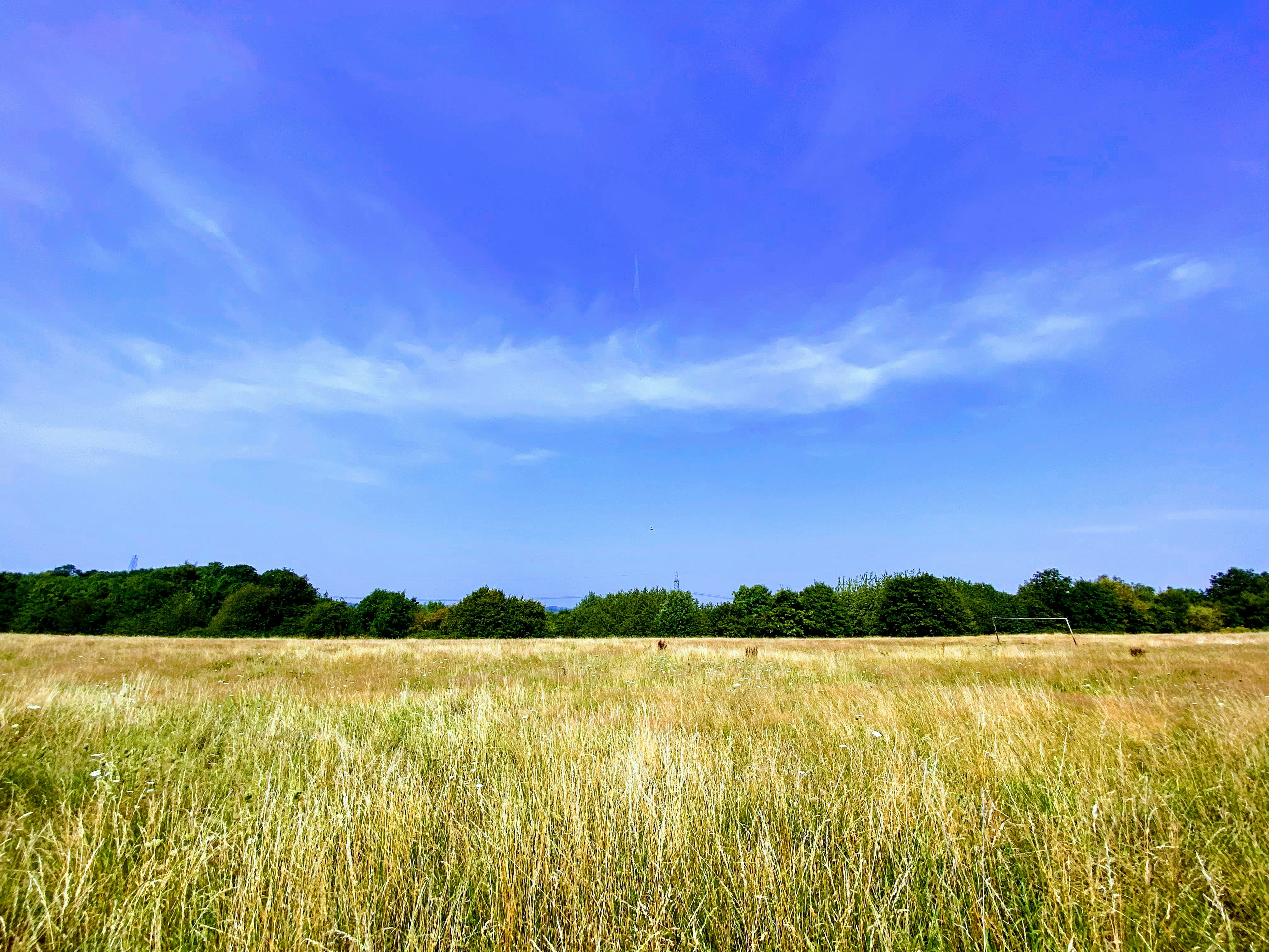 Photo by david_robert_clarke