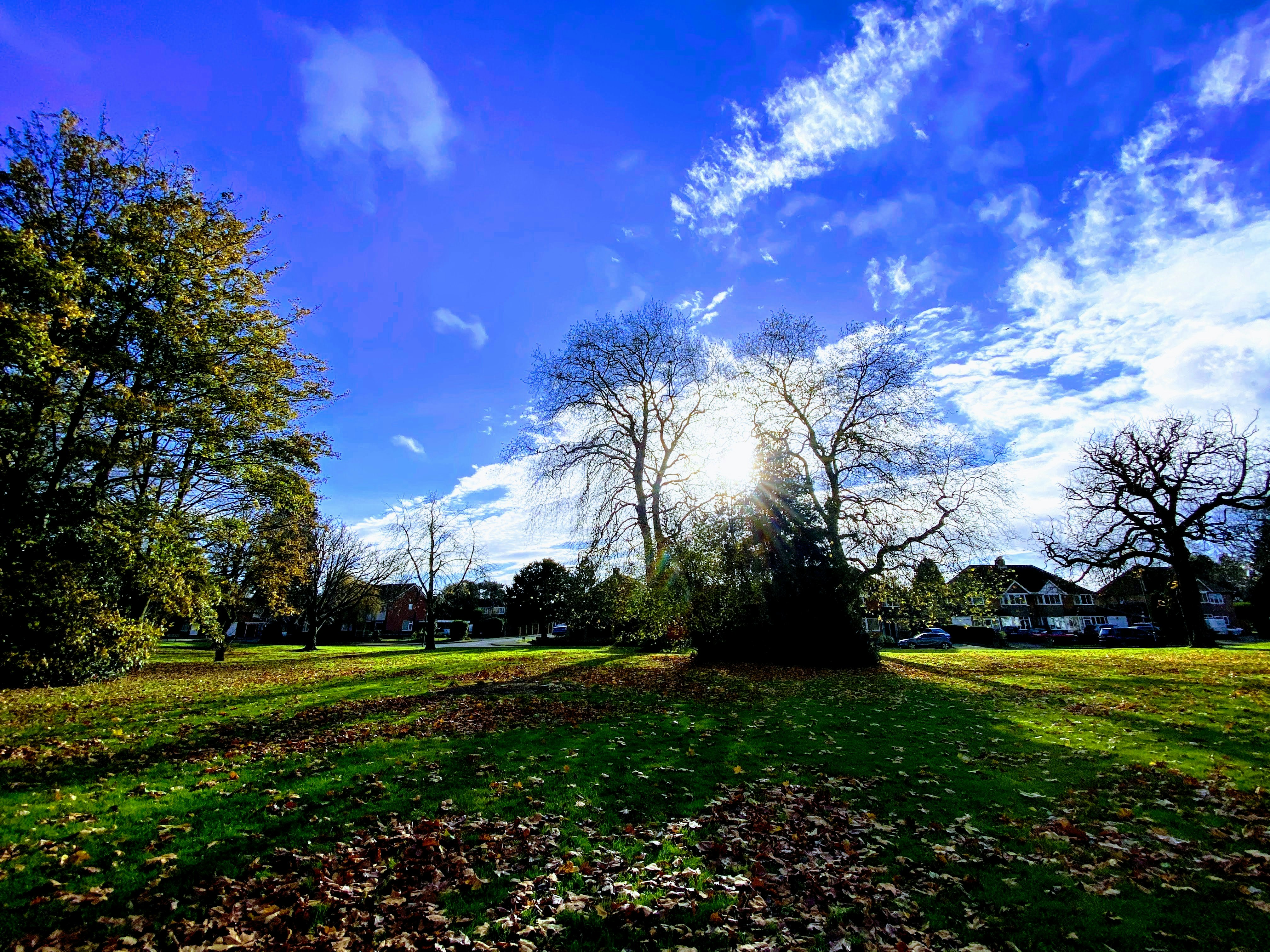 Photo by david_robert_clarke