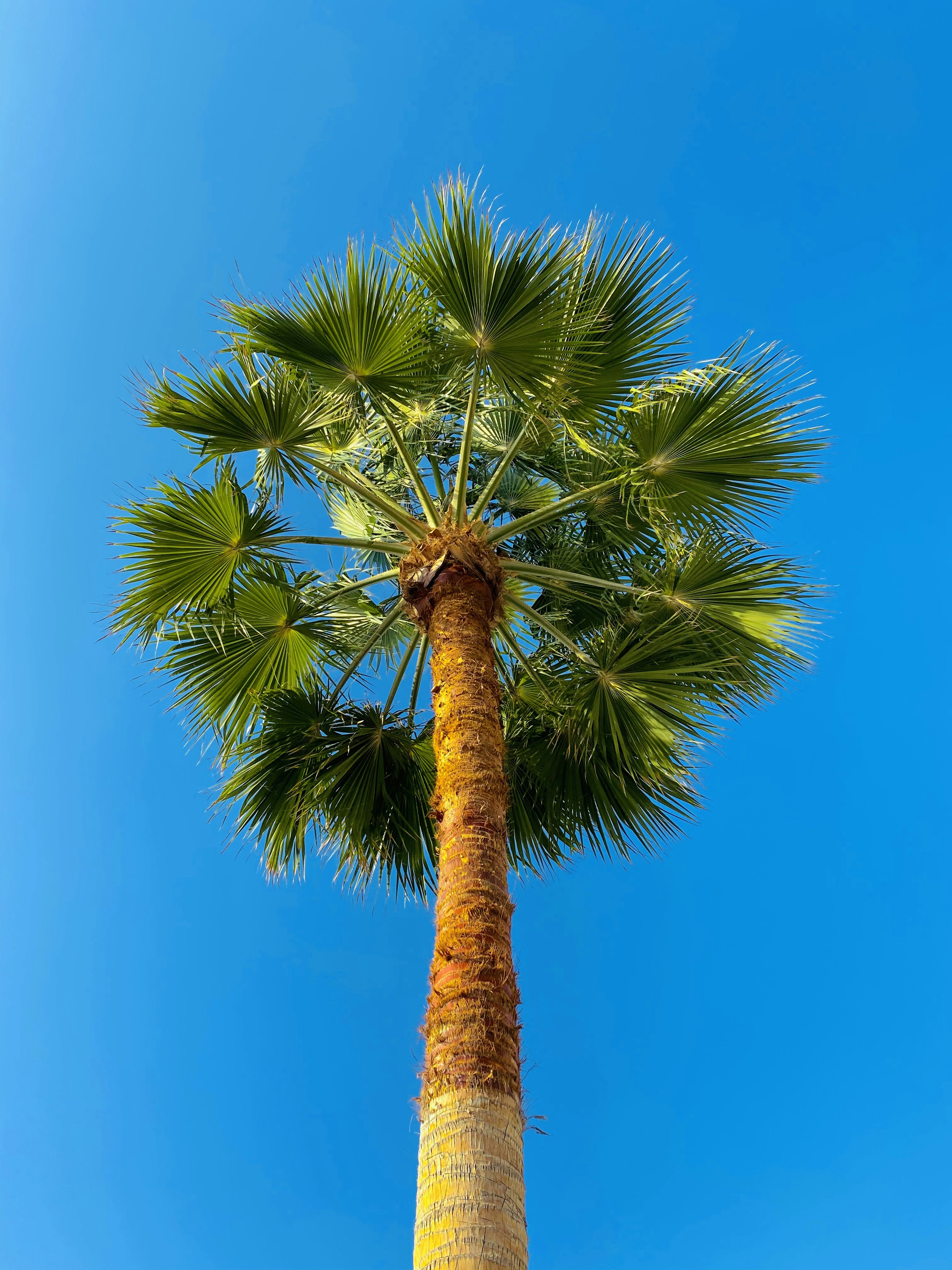 Photo by your_scorpion