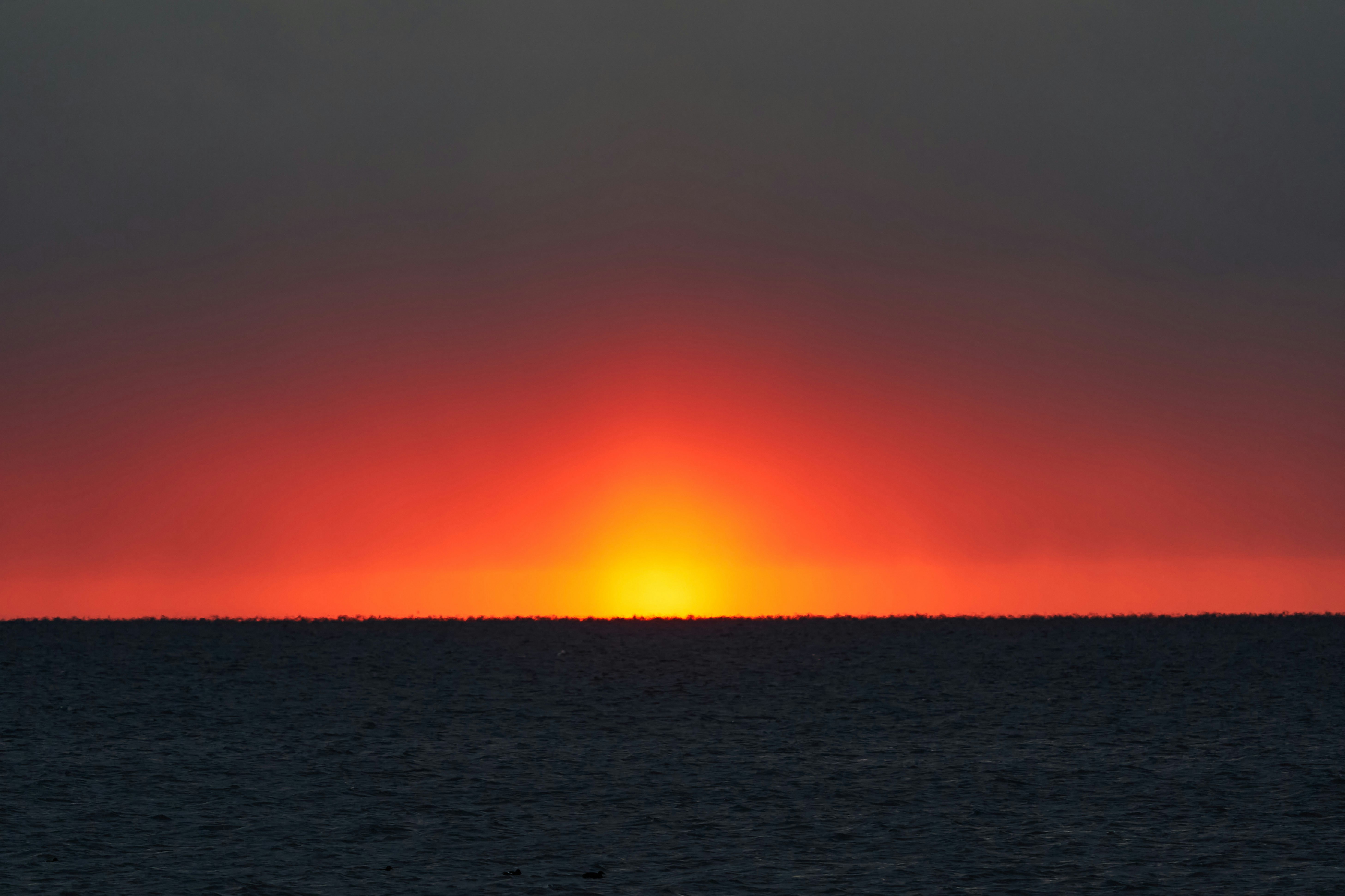 Photo by wolfgang_hasselmann