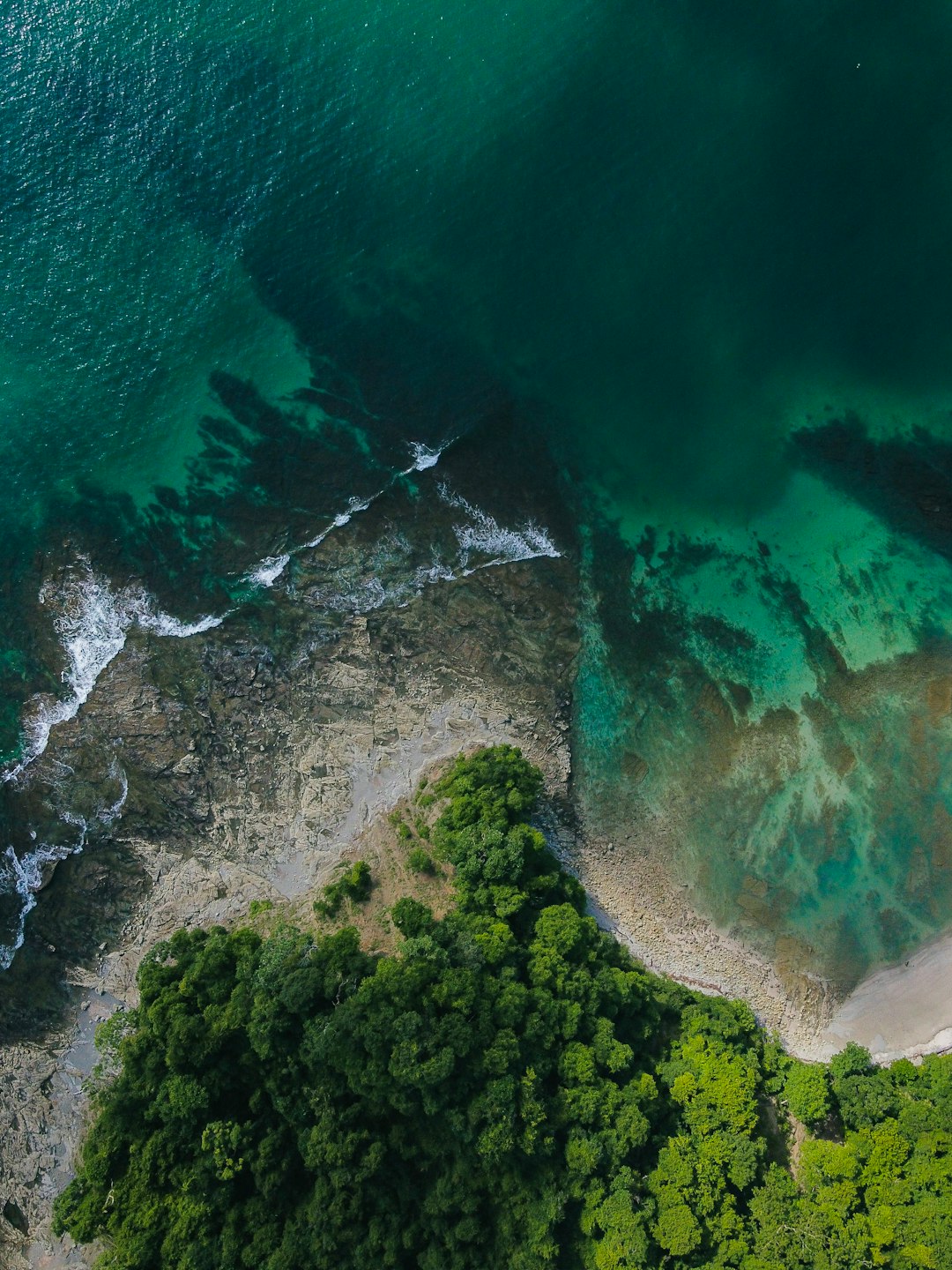 aerial view of green and brown island