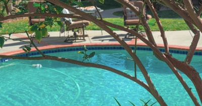 A backyard swimming pool with clear blue water, partially shaded by the branches of a tree in the foreground. Patio furniture including cushioned chairs is visible near the pool area, situated on a concrete deck surrounded by green grass.