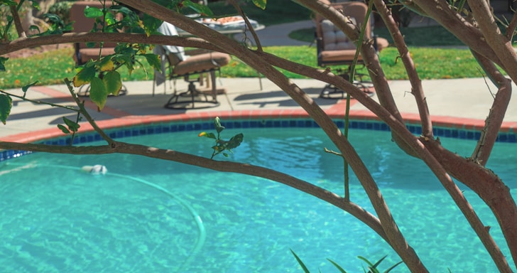 A backyard swimming pool with clear blue water, partially shaded by the branches of a tree in the foreground. Patio furniture including cushioned chairs is visible near the pool area, situated on a concrete deck surrounded by green grass.