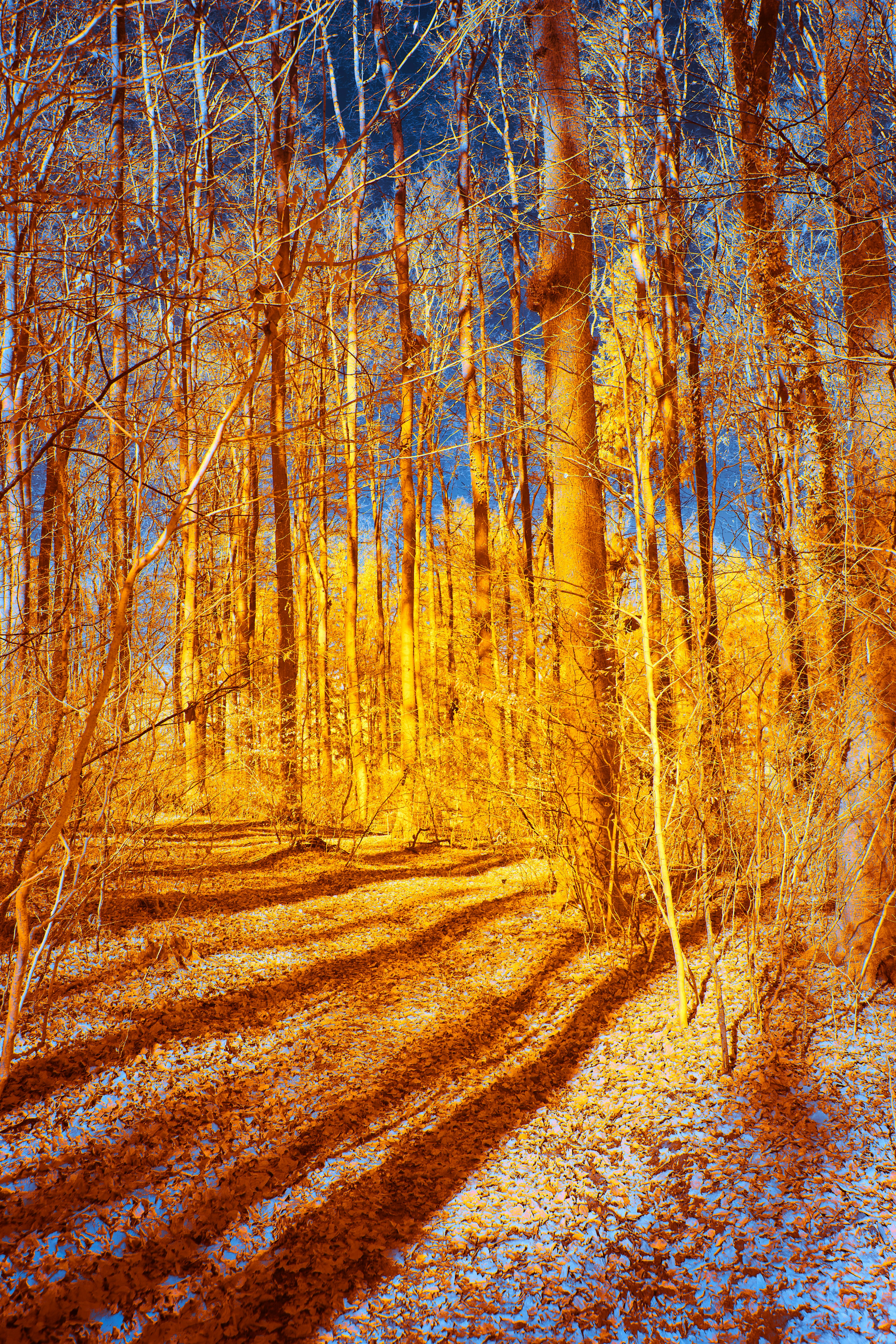 Photo by wolfgang_hasselmann