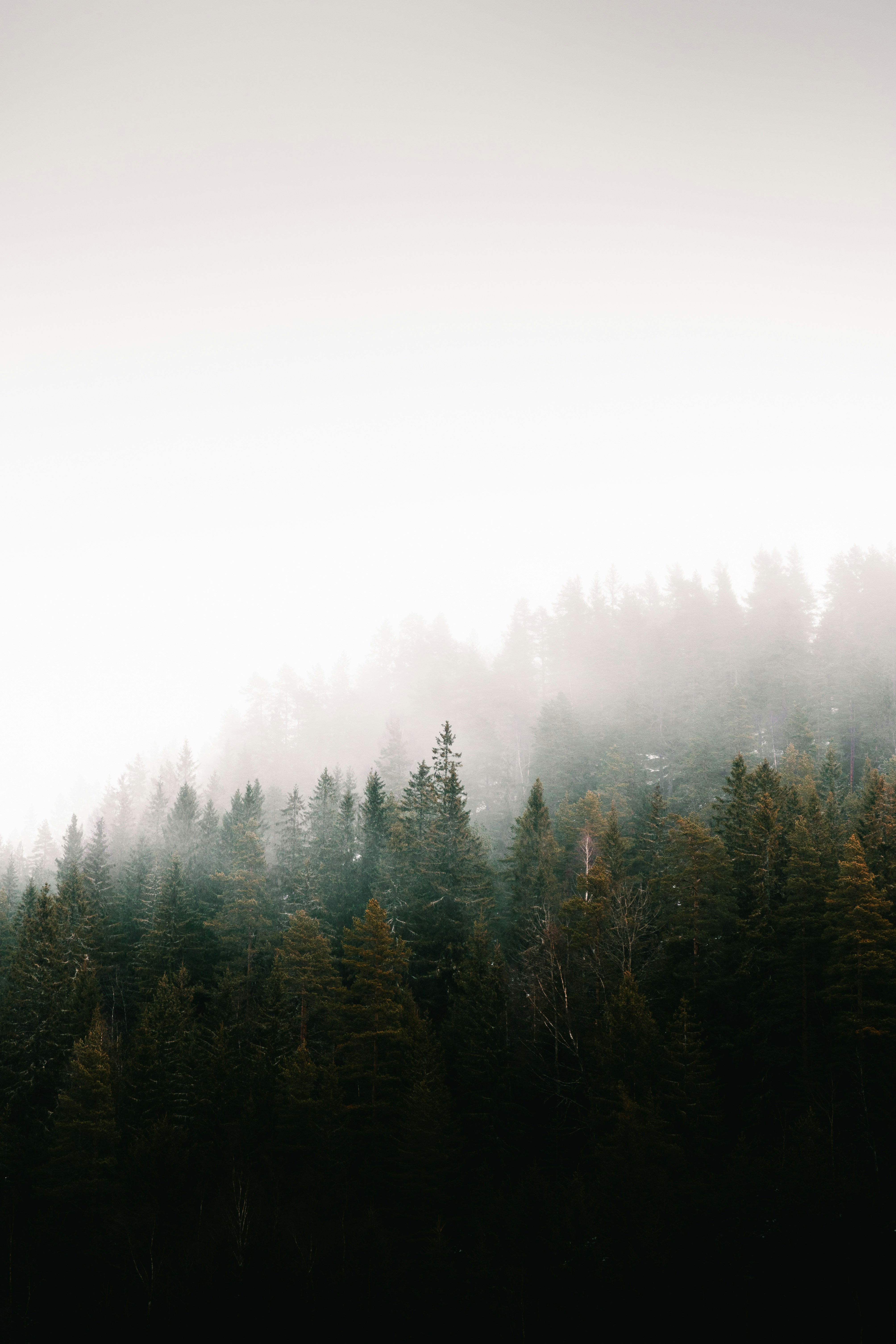 Photo by emil_karlsen