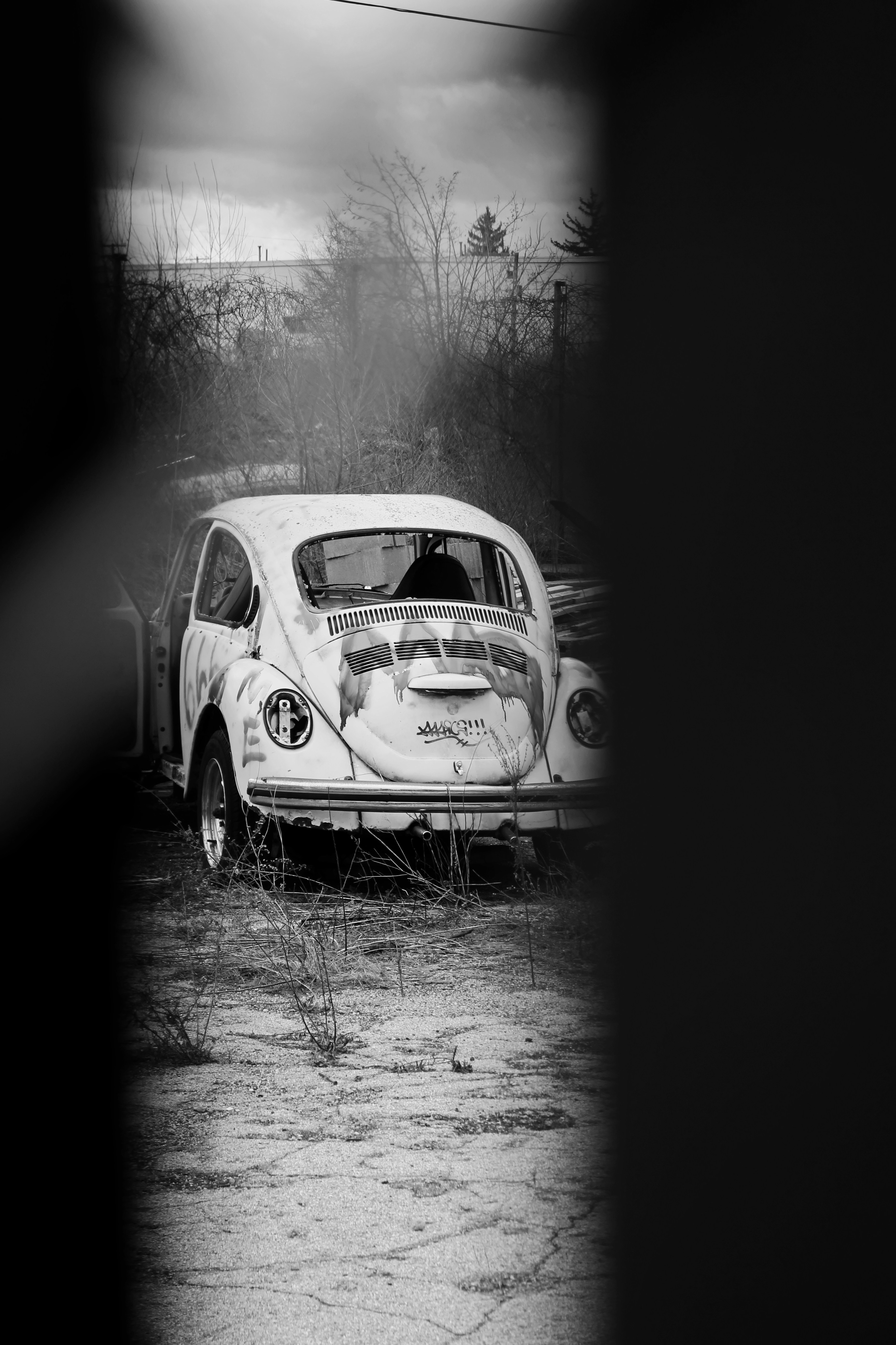 Photo by mrgreatheart