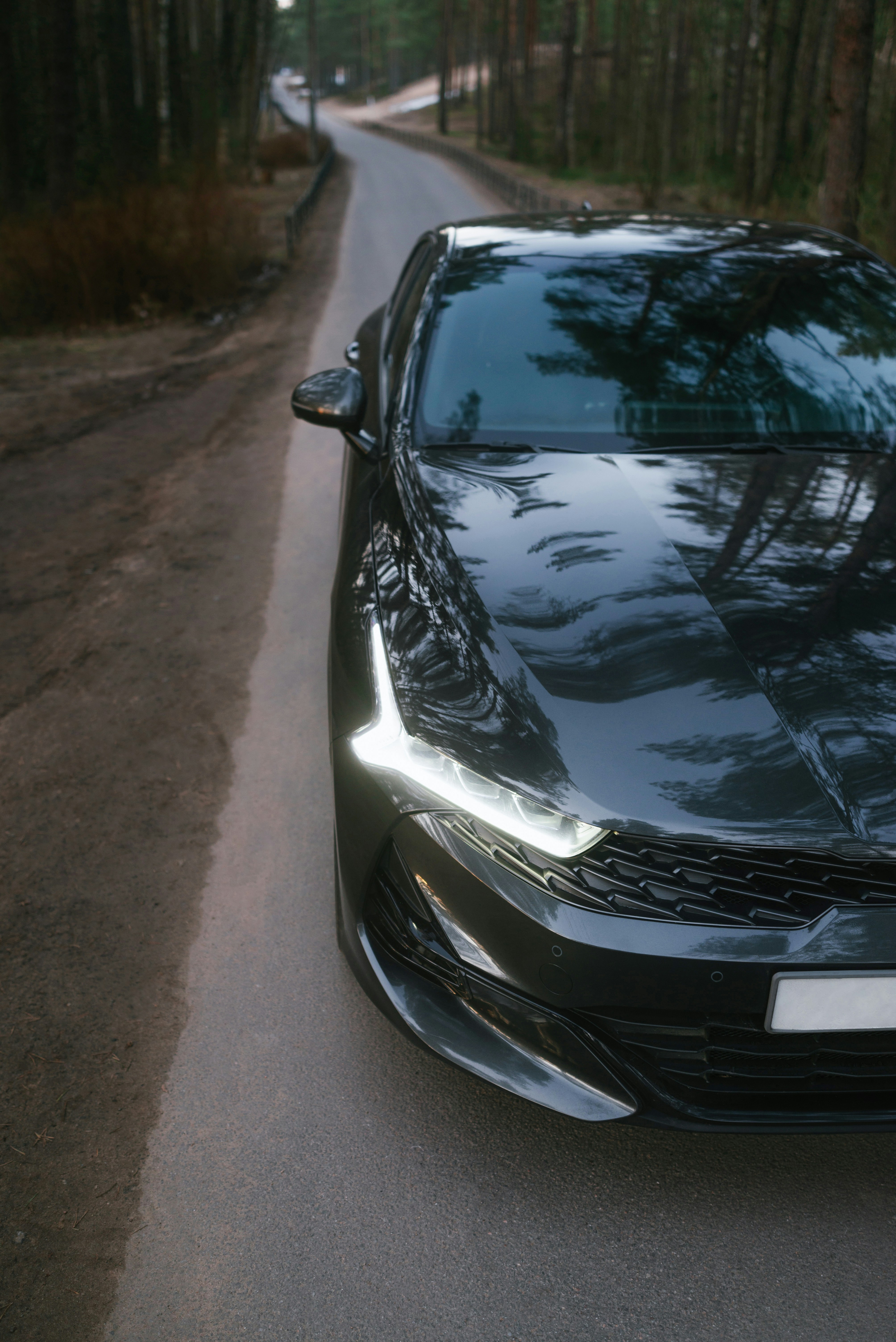 Sedán oscuro moderno aparcado en una carretera cerca de pinos.