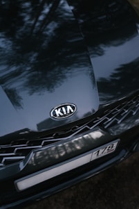 A close-up view of a dark-colored Kia car hood with the manufacturer logo prominently centered. The surface reflects trees, suggesting the car is outdoors. The front grille and part of a license plate with a partial number and text are visible.