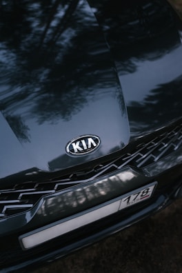 A close-up view of a dark-colored Kia car hood with the manufacturer logo prominently centered. The surface reflects trees, suggesting the car is outdoors. The front grille and part of a license plate with a partial number and text are visible.