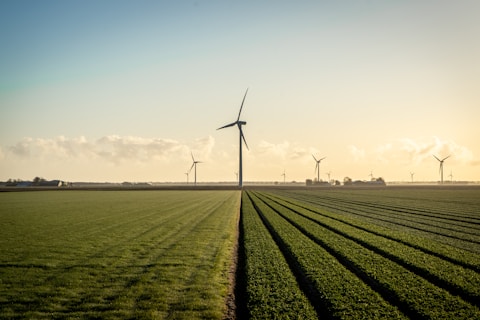 wind turbines on green grass field under blue sky during daytime
