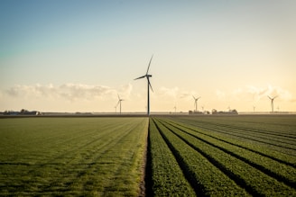 wind turbines on green grass field under blue sky during daytime