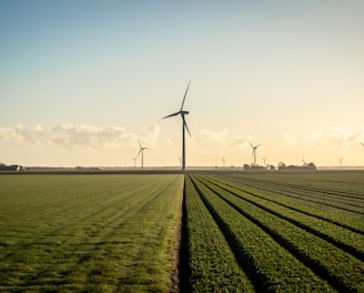 wind turbines on green grass field under blue sky during daytime