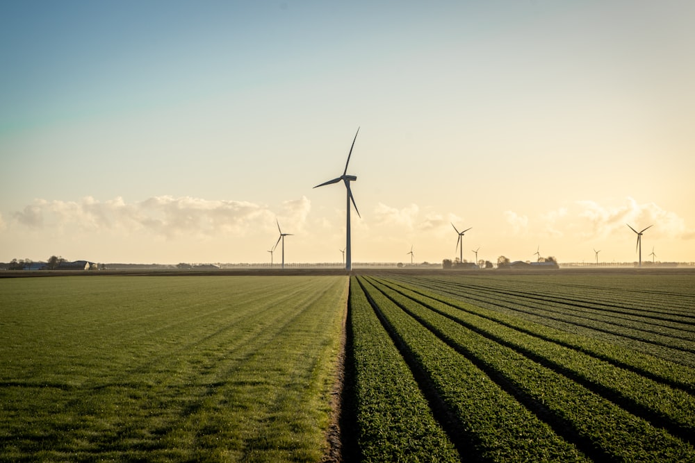 wind turbines on green grass field under blue sky during daytime