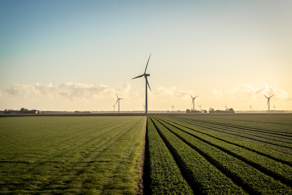 éoliennes sur un champ d’herbe verte sous un ciel bleu pendant la journée