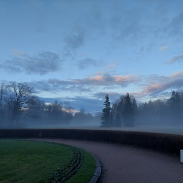 An artistic shot of a landscape.