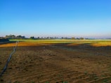 A vast agricultural field with a mixture of brown plowed soil and green crops in the distance. Irrigation pipes are laid out across the field. The skyline is clear with trees scattered along the horizon under a bright blue sky.