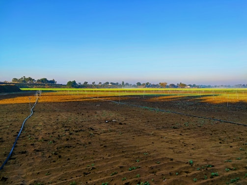A vast agricultural field with a mixture of brown plowed soil and green crops in the distance. Irrigation pipes are laid out across the field. The skyline is clear with trees scattered along the horizon under a bright blue sky.