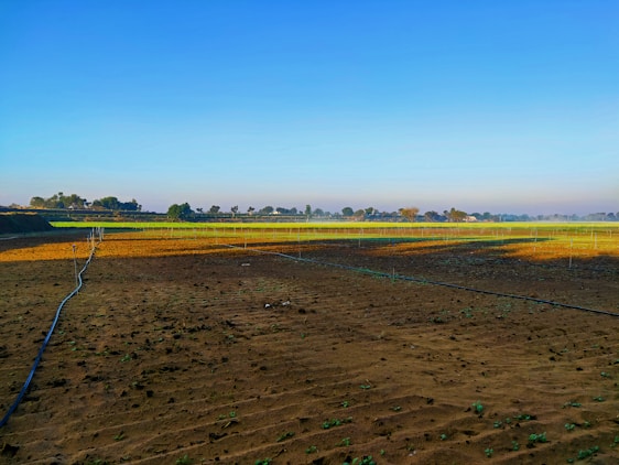 A vast agricultural field with a mixture of brown plowed soil and green crops in the distance. Irrigation pipes are laid out across the field. The skyline is clear with trees scattered along the horizon under a bright blue sky.