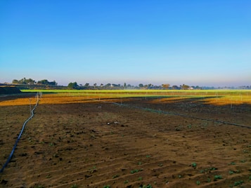A vast agricultural field with a mixture of brown plowed soil and green crops in the distance. Irrigation pipes are laid out across the field. The skyline is clear with trees scattered along the horizon under a bright blue sky.