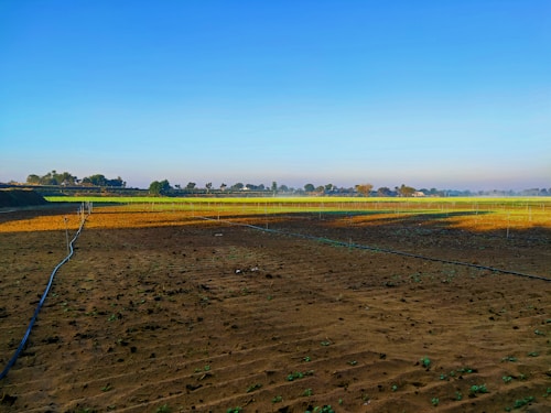 A vast agricultural field with a mixture of brown plowed soil and green crops in the distance. Irrigation pipes are laid out across the field. The skyline is clear with trees scattered along the horizon under a bright blue sky.