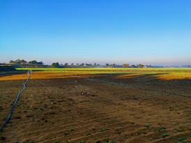 A vast agricultural field with a mixture of brown plowed soil and green crops in the distance. Irrigation pipes are laid out across the field. The skyline is clear with trees scattered along the horizon under a bright blue sky.