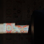 A vibrant, freshly cleaned oriental rug laid out in a sunny living room