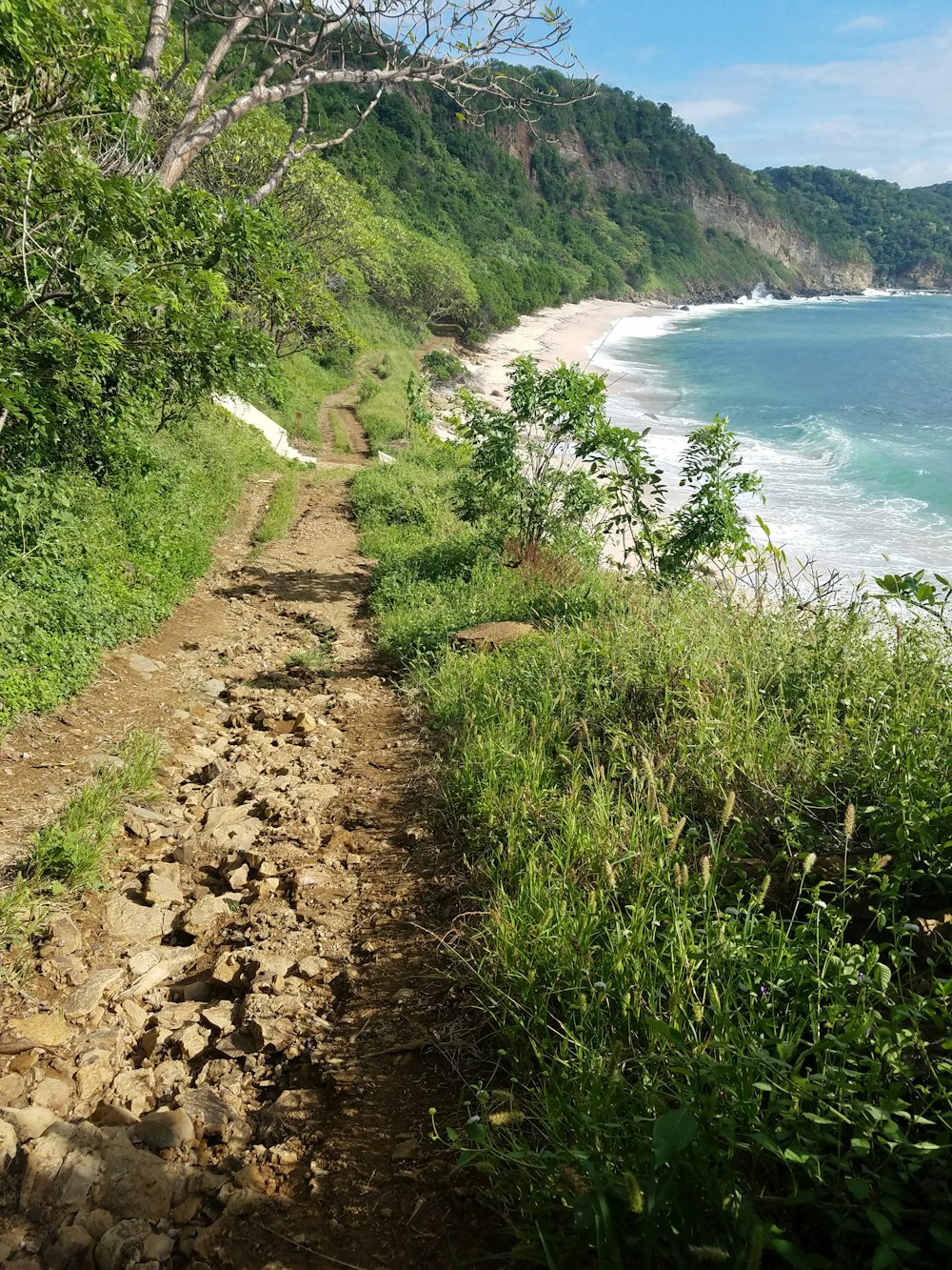 green grass and brown dirt road near body of water during daytime