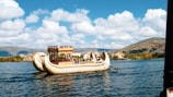 brown and white boat on water during daytime