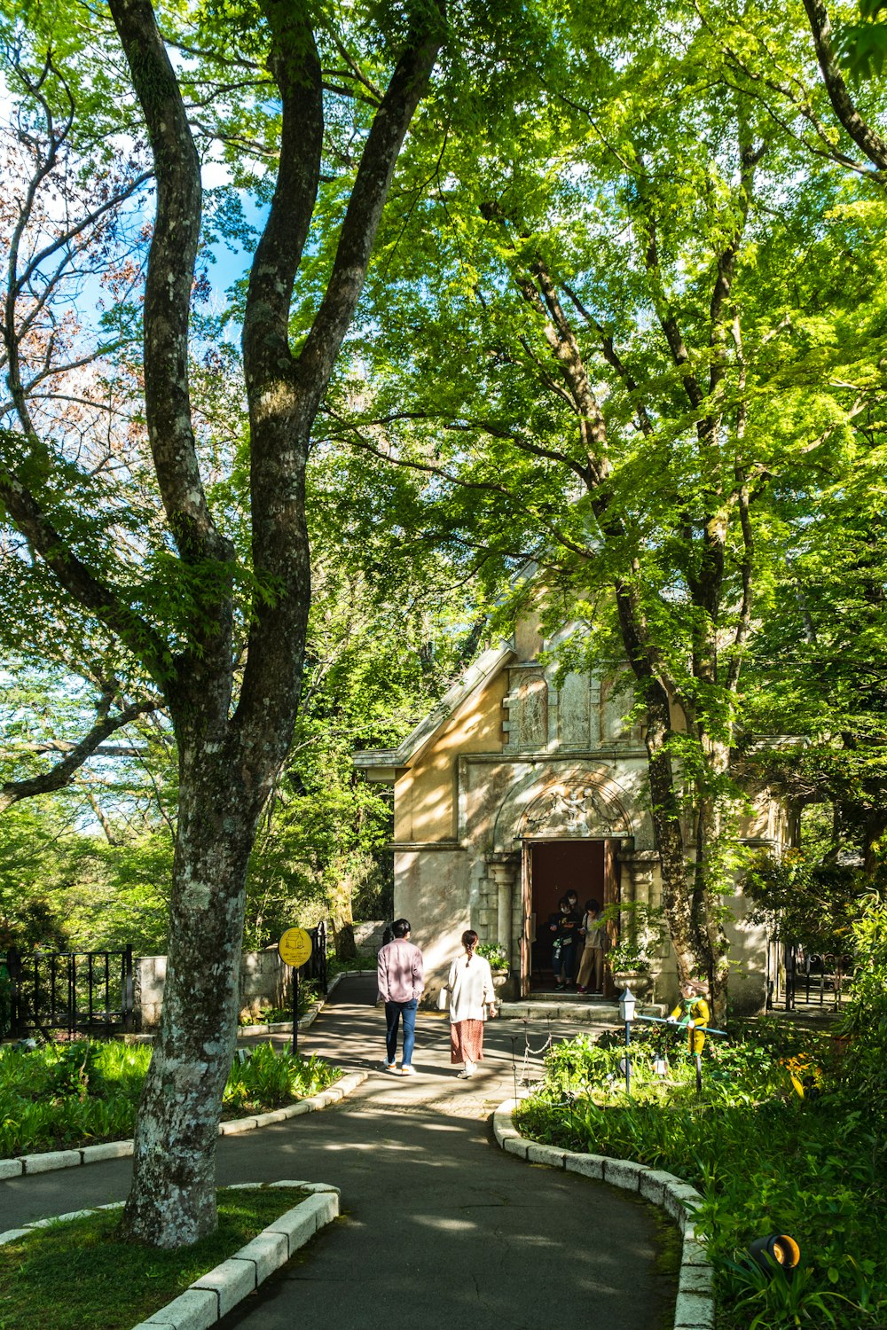 people sitting on bench under green trees near brown wooden house during daytime