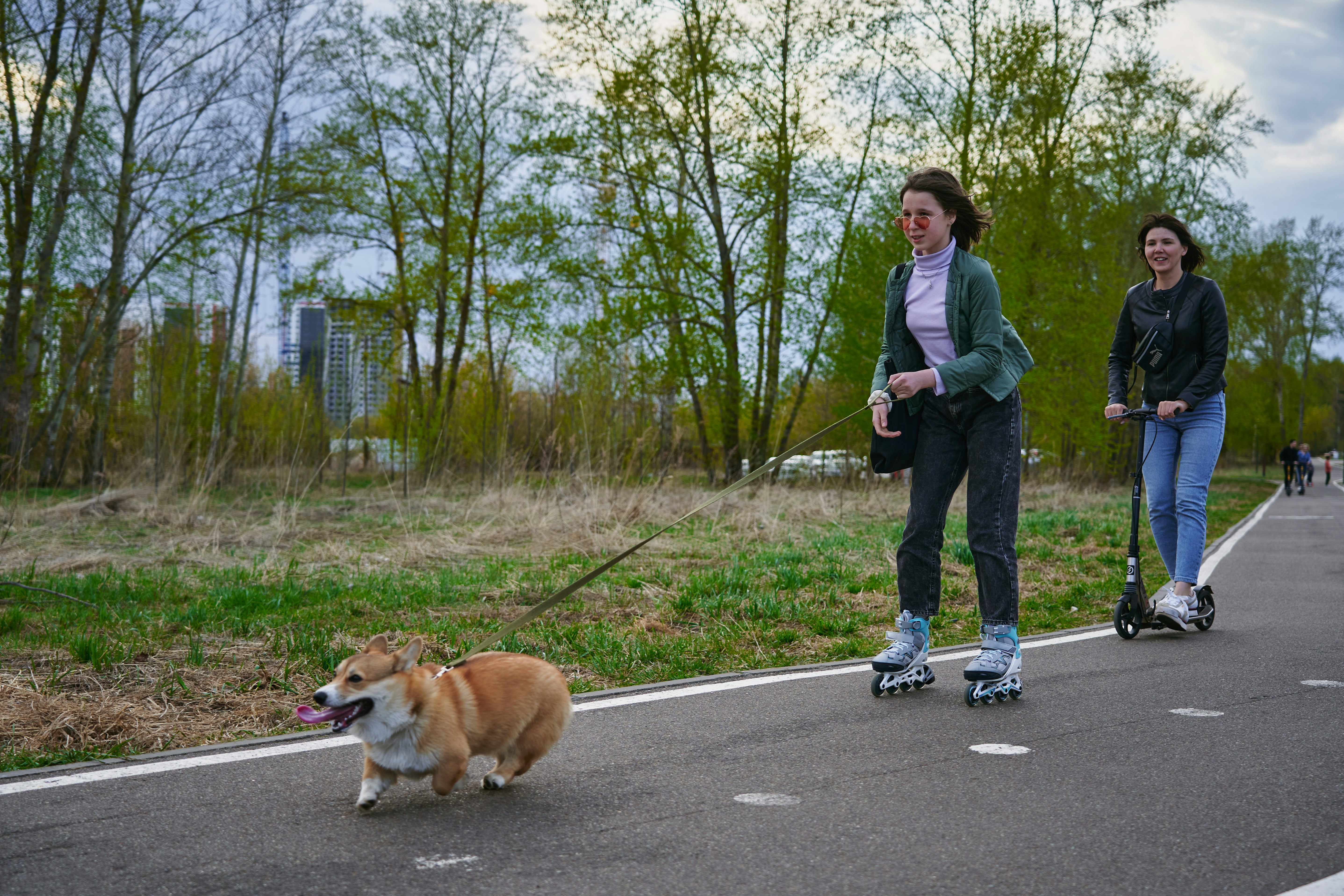 woman in gray jacket walking with brown dog on road during daytime