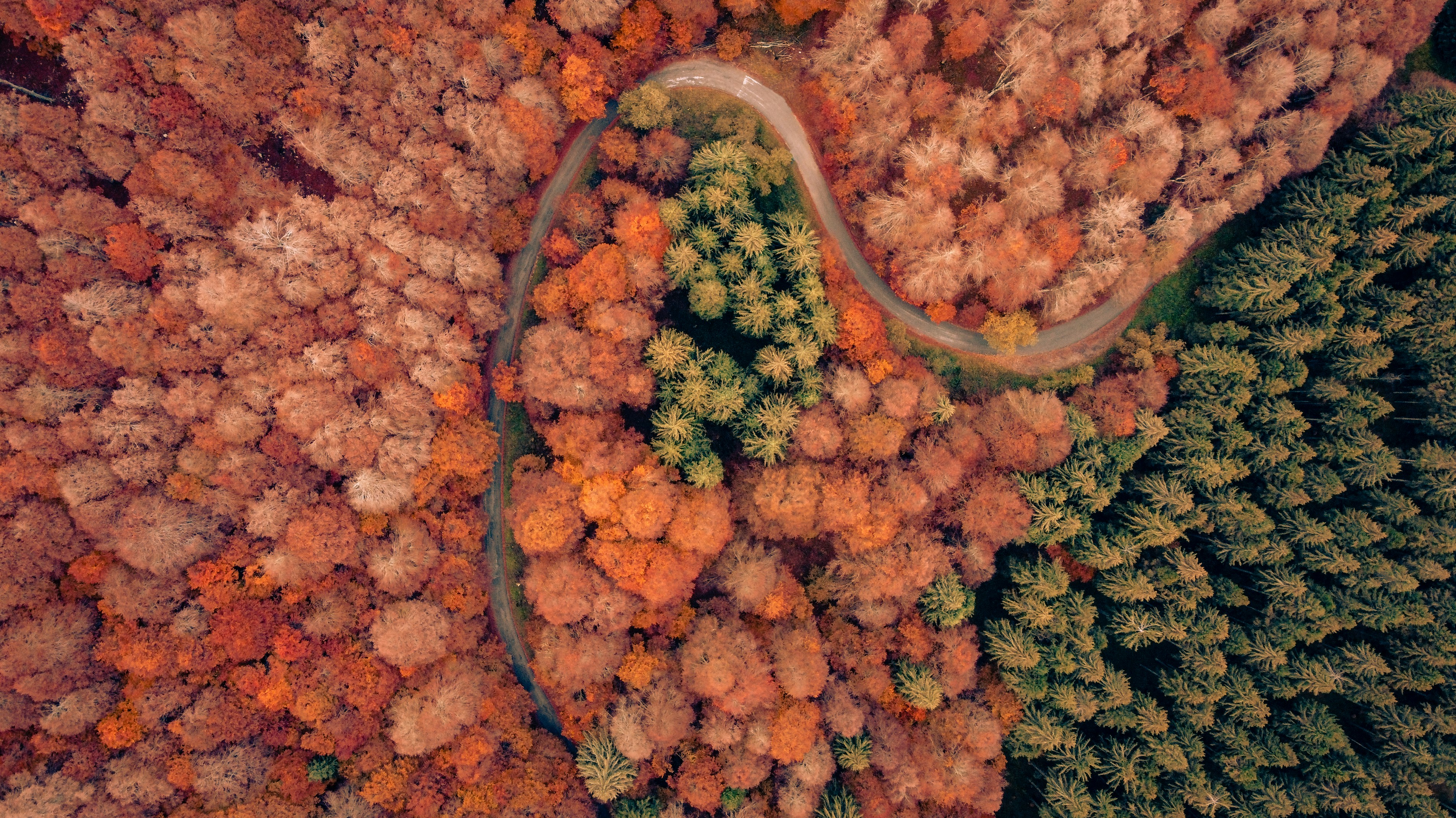 Photo by supercaliman