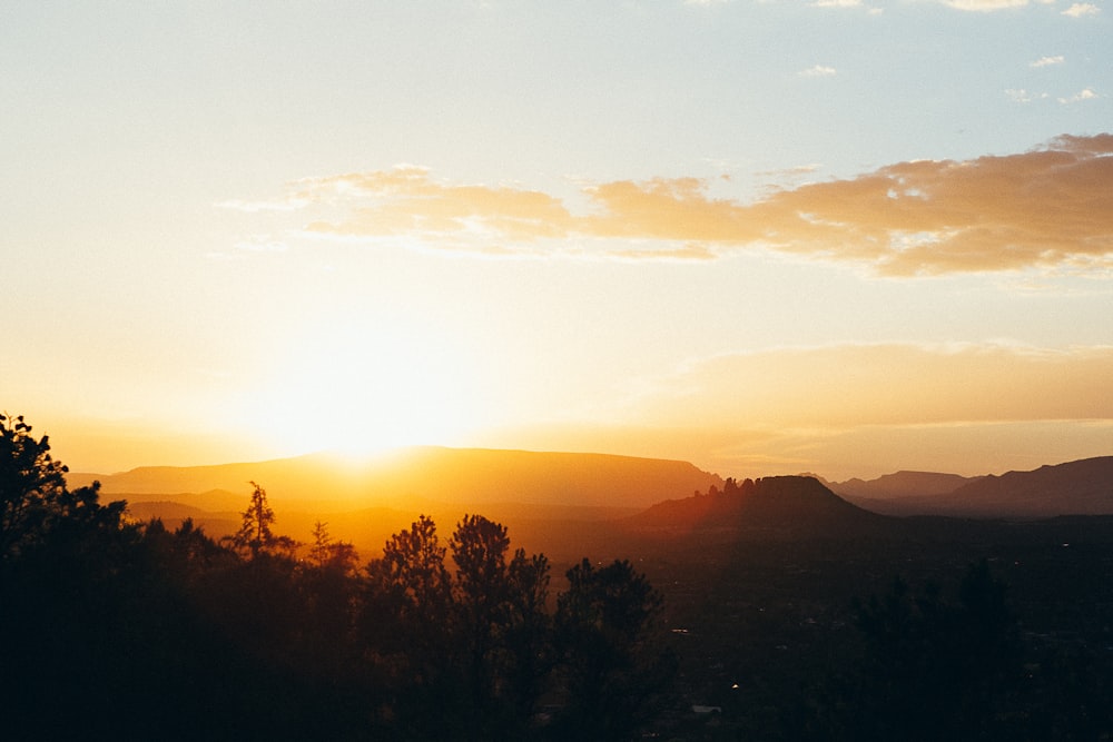 silhouette of trees during sunset