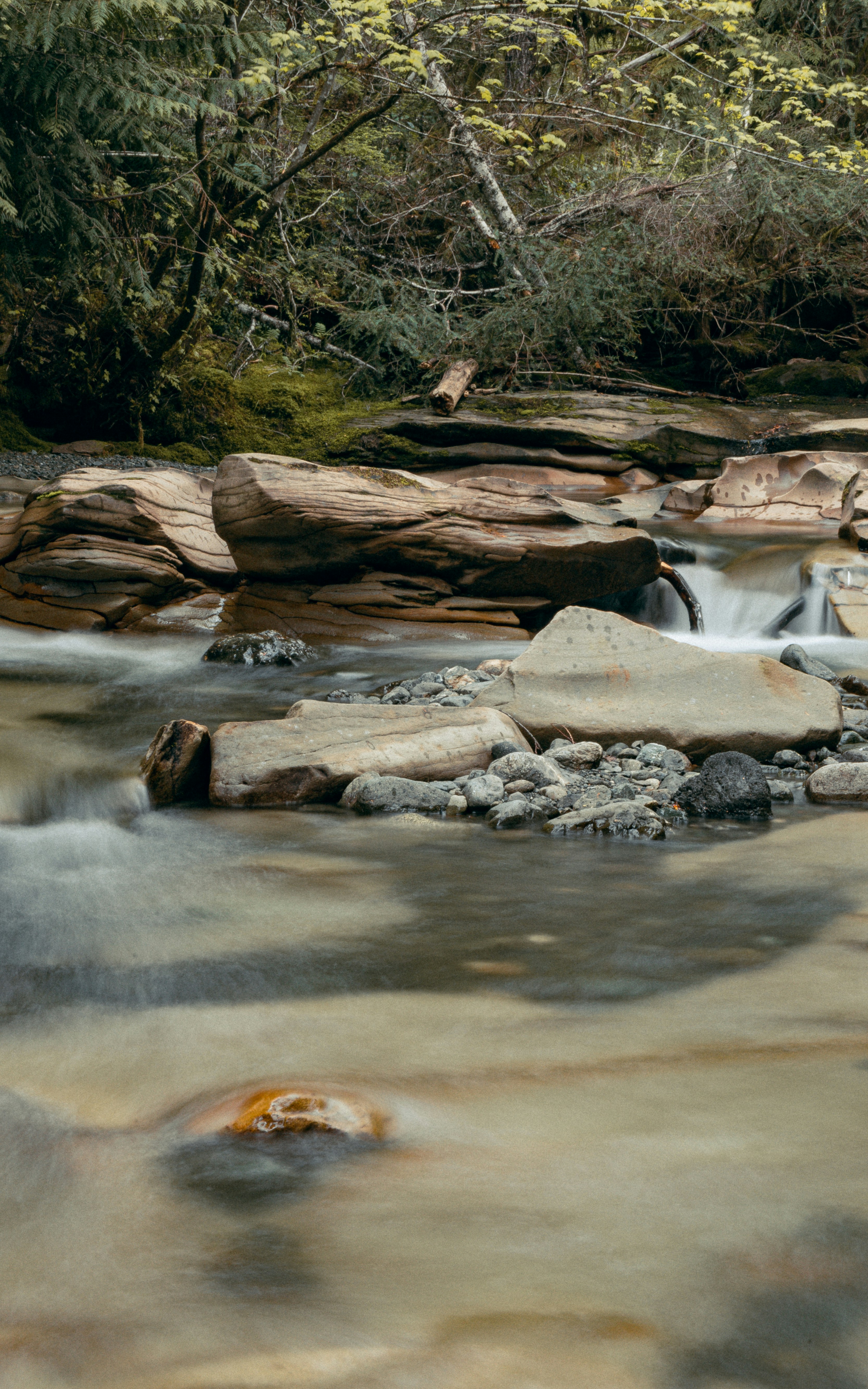 Photo by colefreeman