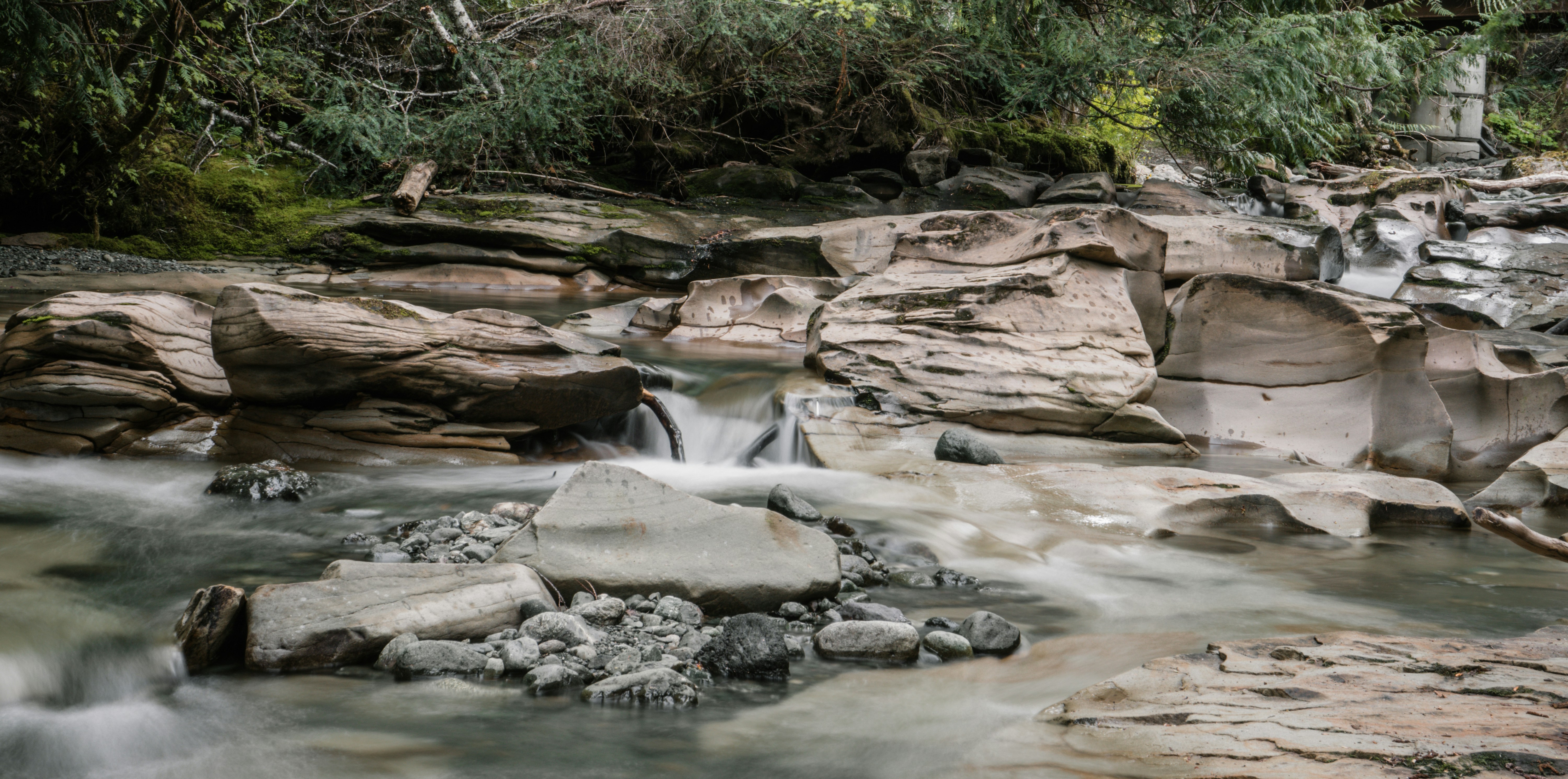 Photo by colefreeman