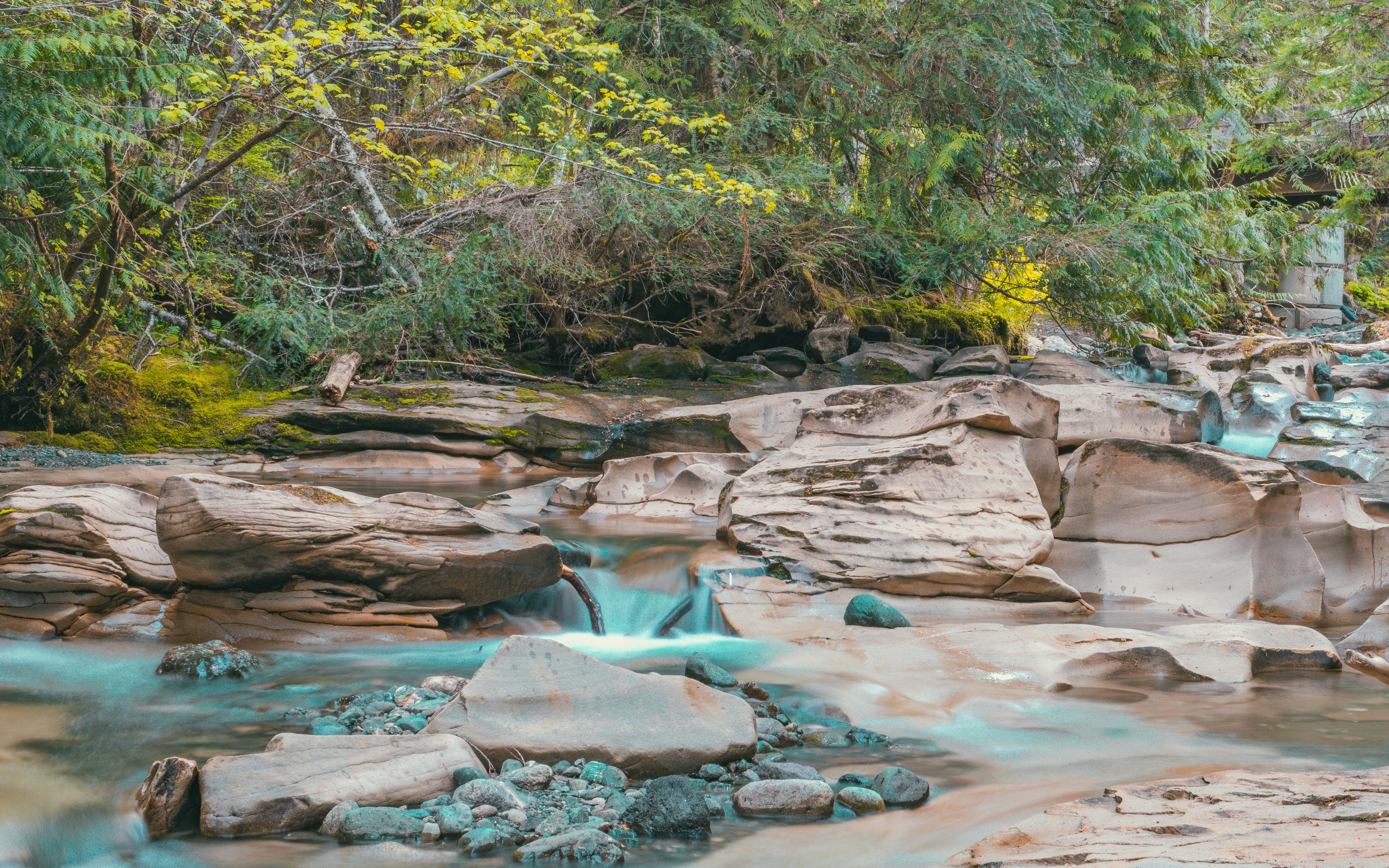 Photo by colefreeman