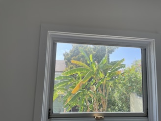 View of the homestay’s peaceful courtyard with tropical plants and sunlight filtering through leaves
