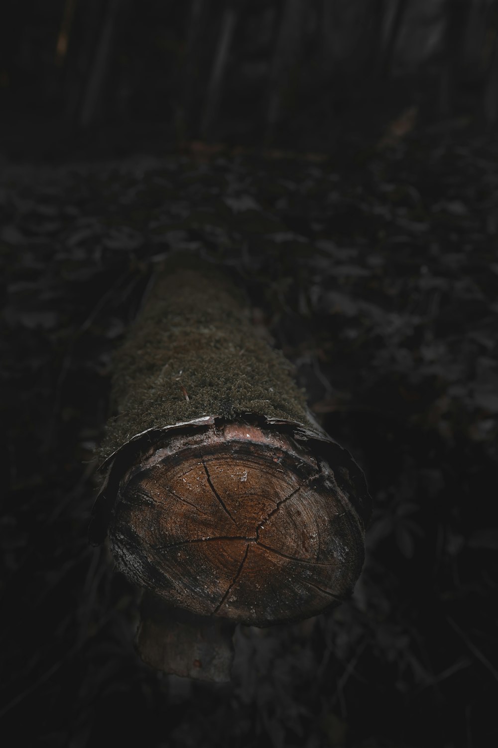 brown wood log on black surface