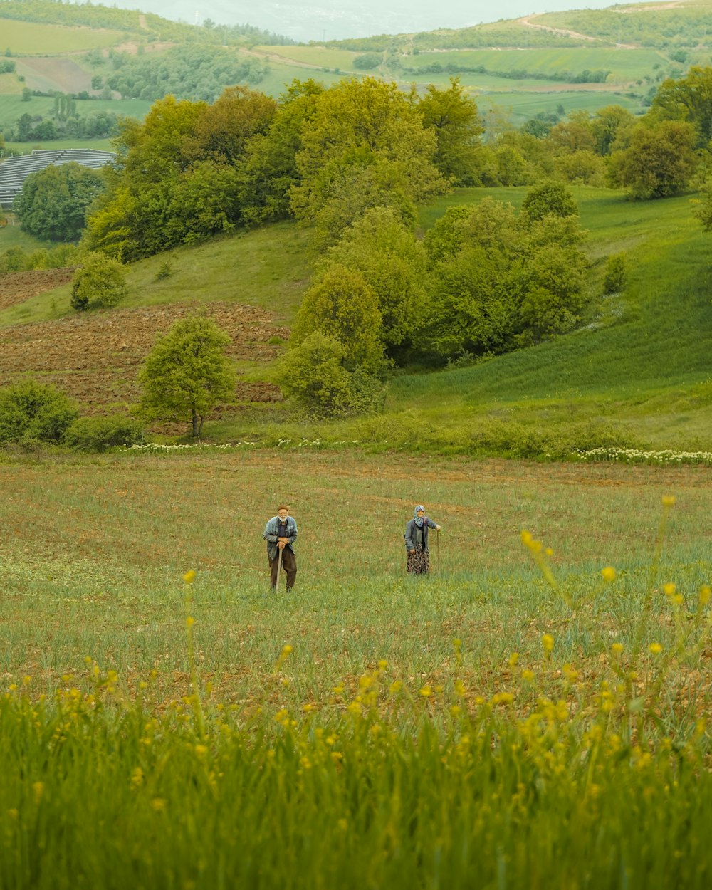 people walking on green grass field during daytime