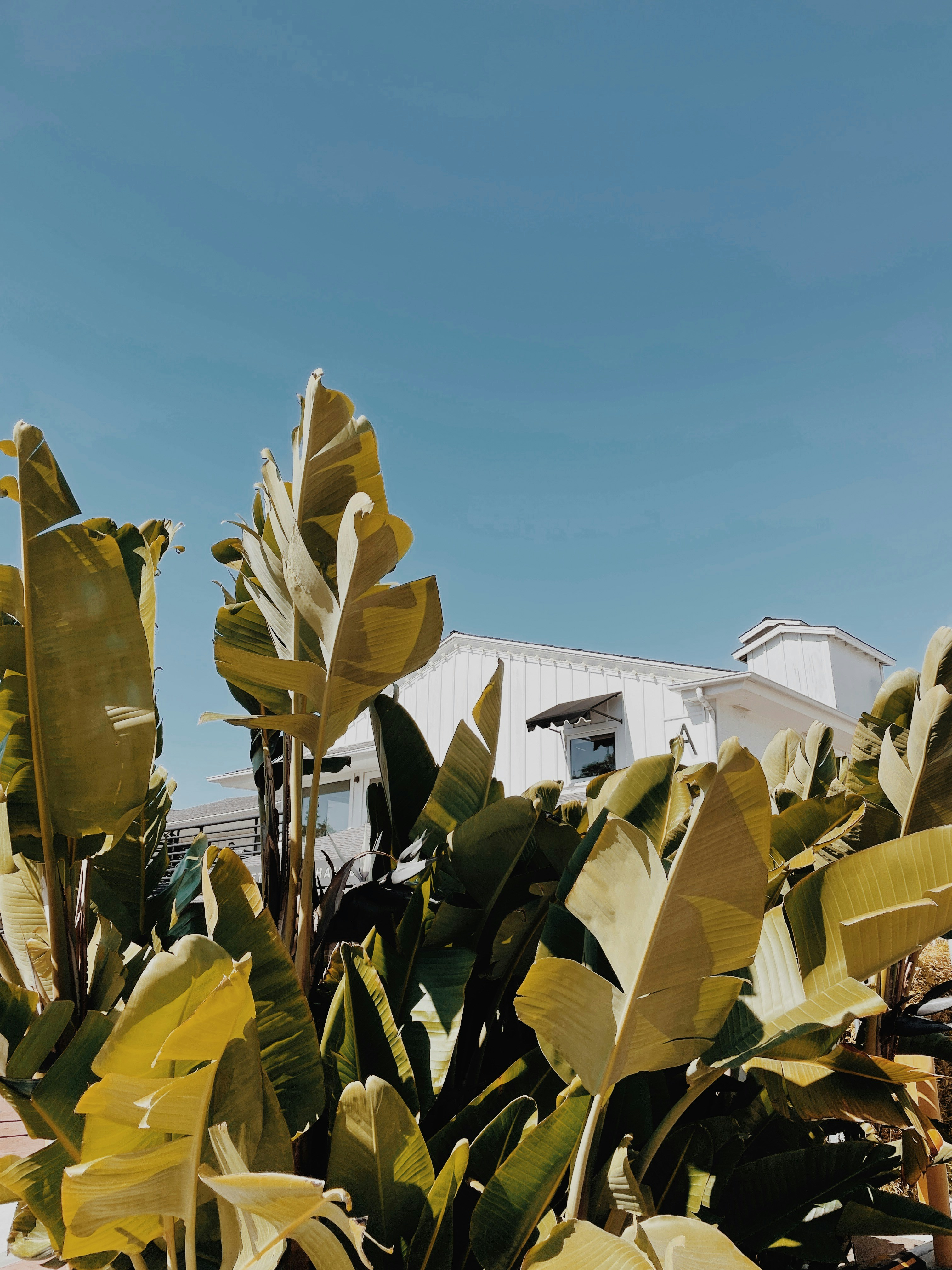 Photo by durianbullet