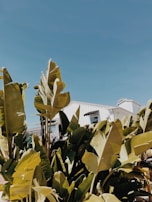 Close-up of hands signing a real estate contract with a tropical background.