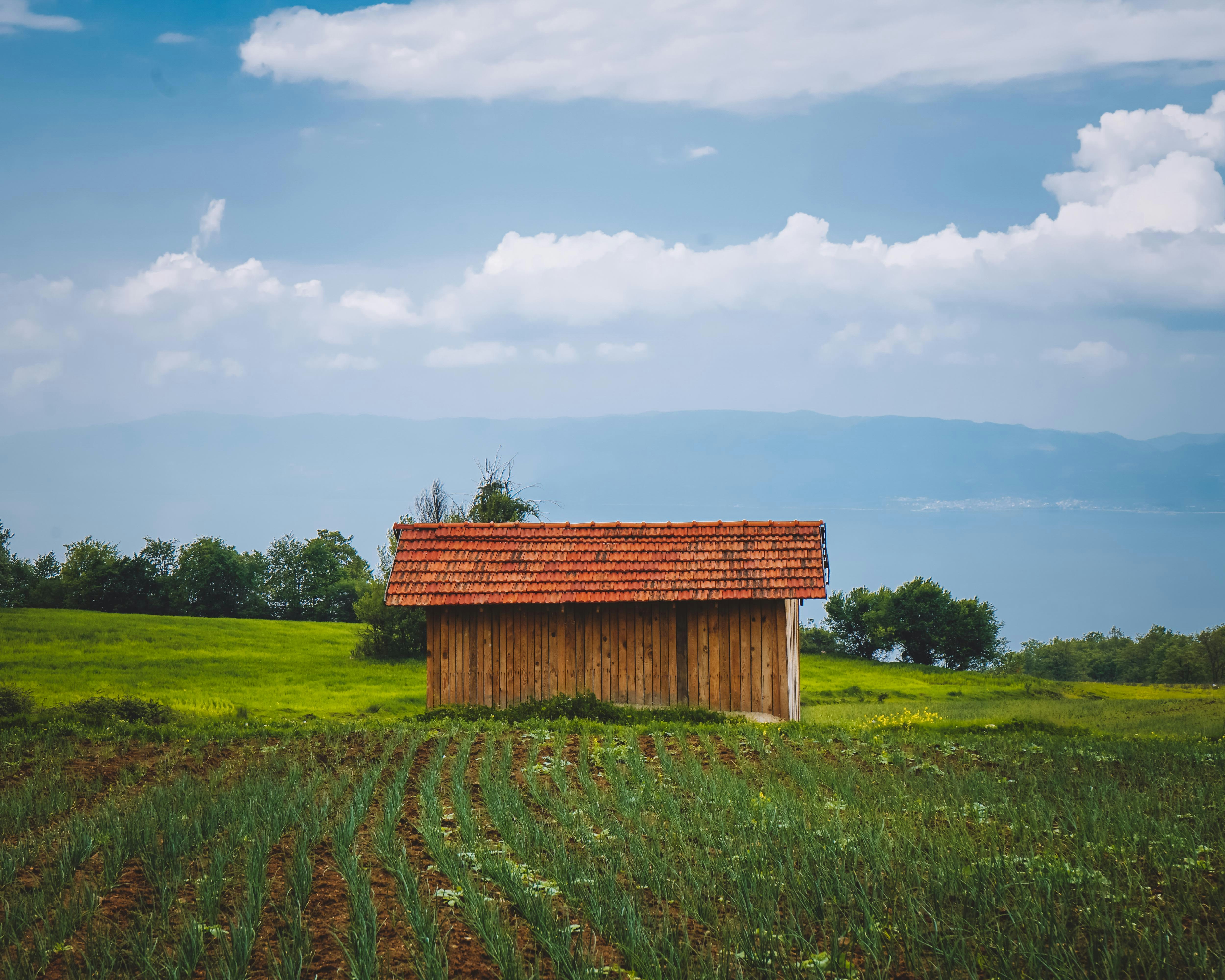 brown wooden house on green grass field under blue sky during daytime